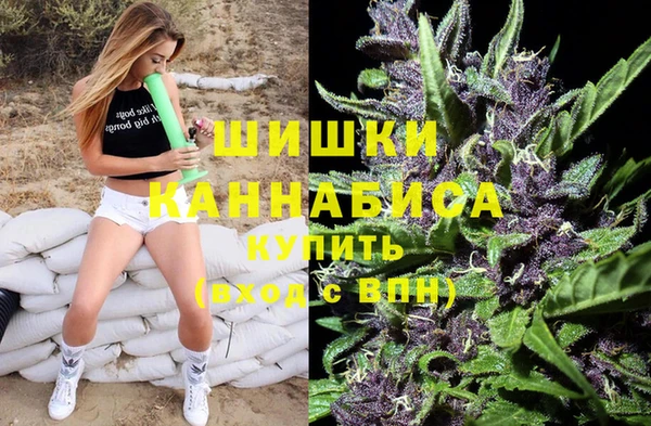 jwh Алзамай