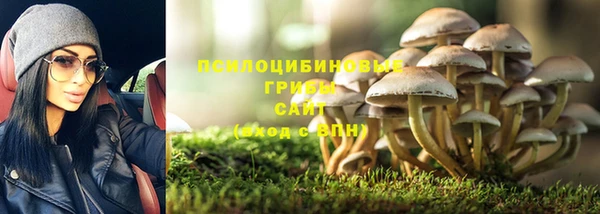 кокс Алексеевка