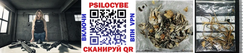 где можно купить наркотик Ардон Галлюциногенные грибы GOLDEN TEACHER