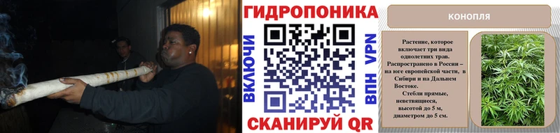 OMG ссылка  Ардон  Бошки Шишки Amnesia 